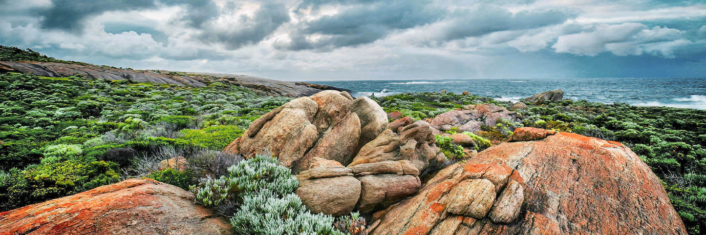 Rocks with lichen on a coastal landscape under a cloudy sky