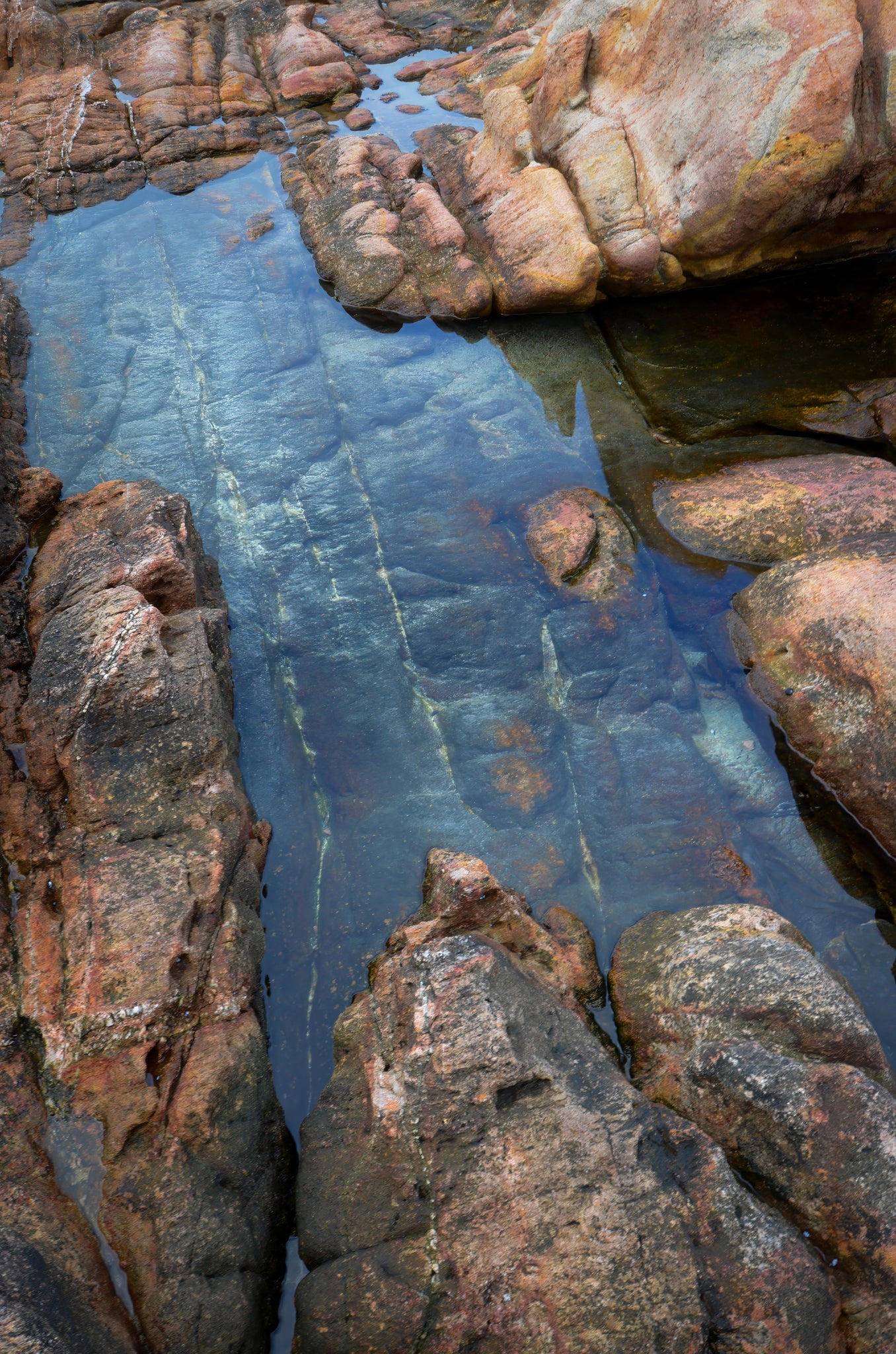 Close-up of rocky terrain with water pooling between the rocks