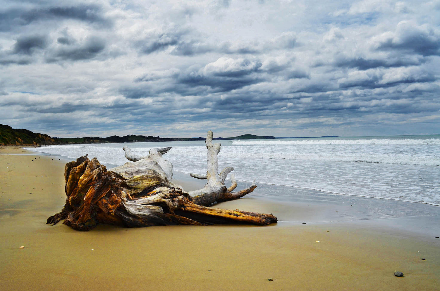 Driftwood on a beach with a cloudy sky