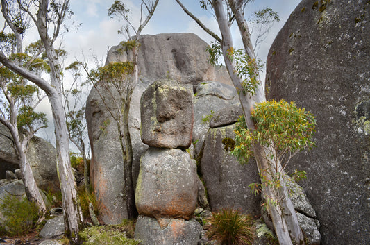 Soft diffused light falling across rugged formations at Castle Rock, Albany.