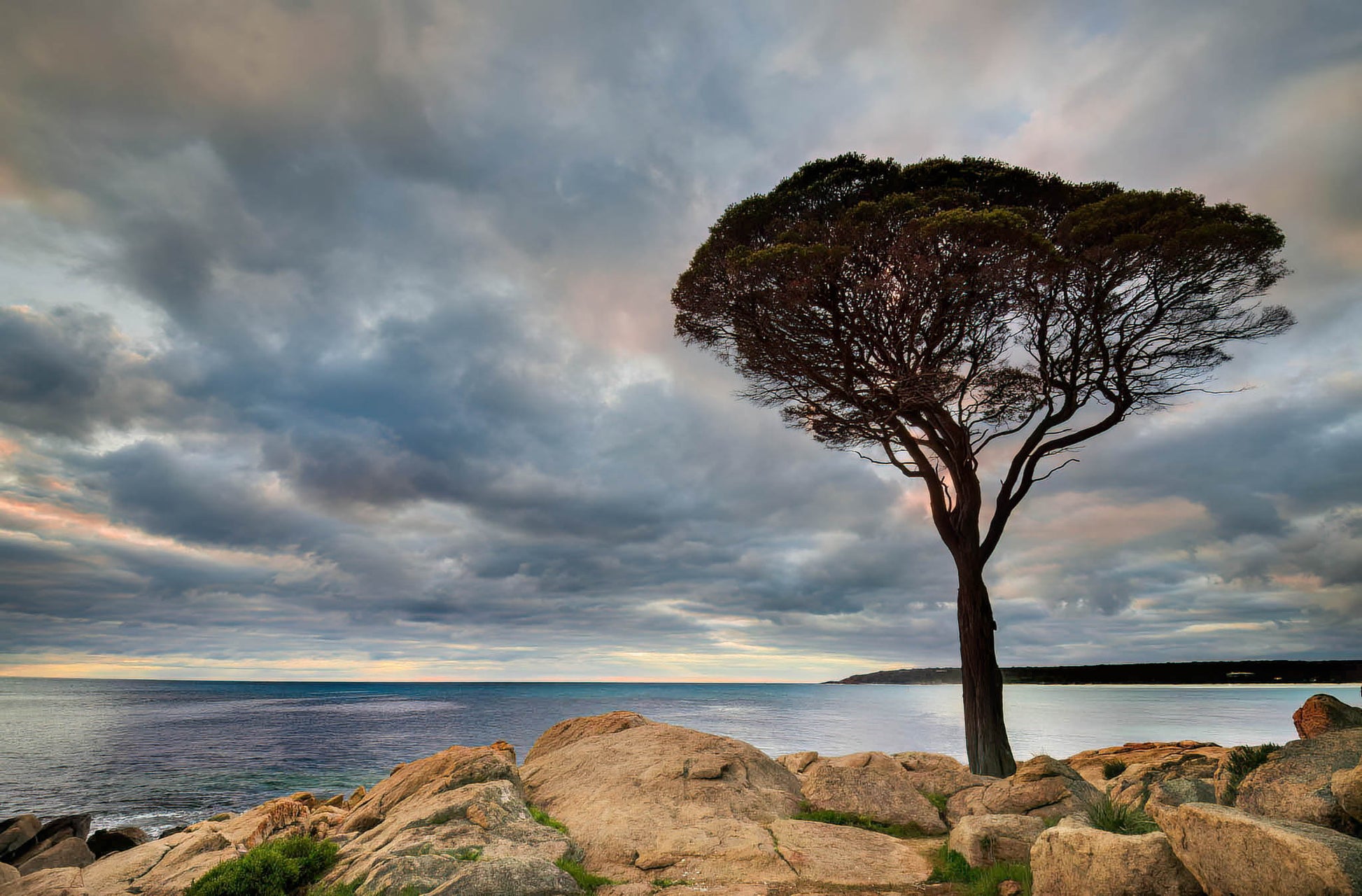 silhouette tree beach dawn storm clouds colourful sky bunker bay