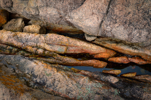 Captured beauty within, close-up of textured rocks with water pooling between them