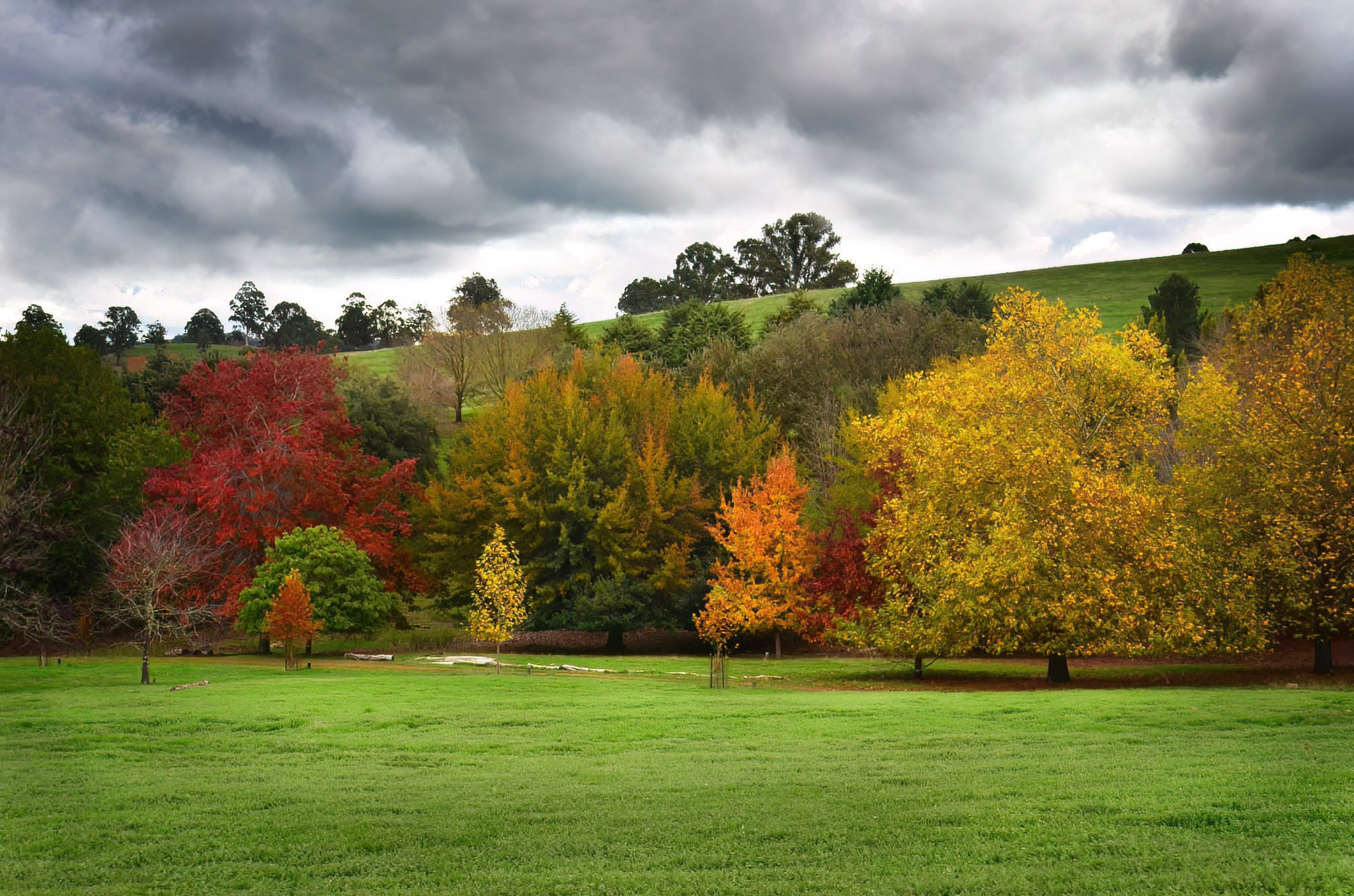 Autumn landscape with colorful trees and a cloudy sky