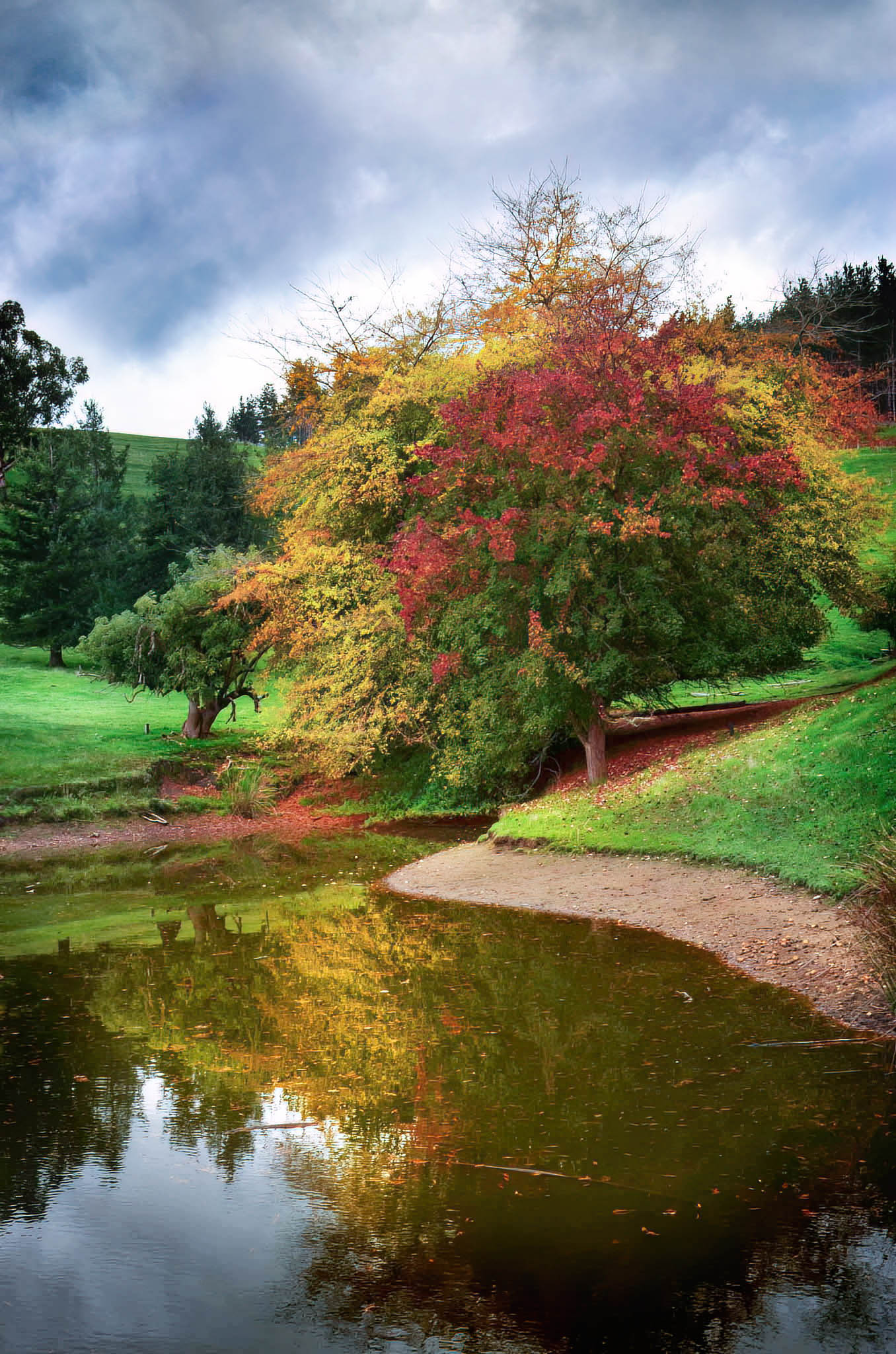 Scenic view of a pond with trees reflecting in the water, under a cloudy sky.