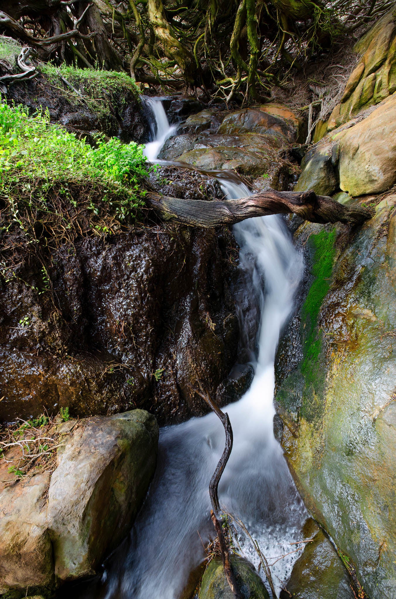 Stream flowing through a rocky landscape with greenery