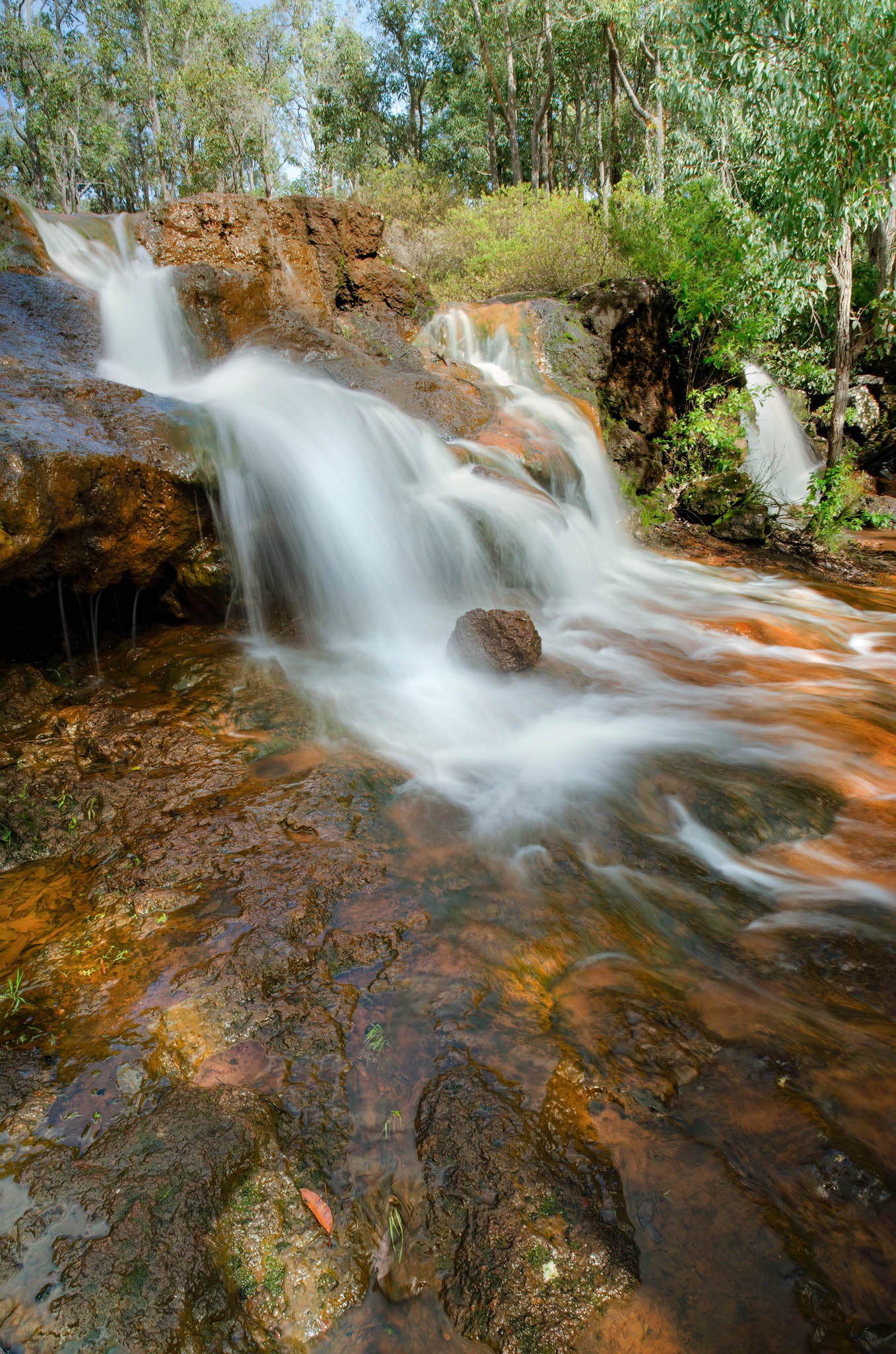 Waterfall in a forest with rocks and trees