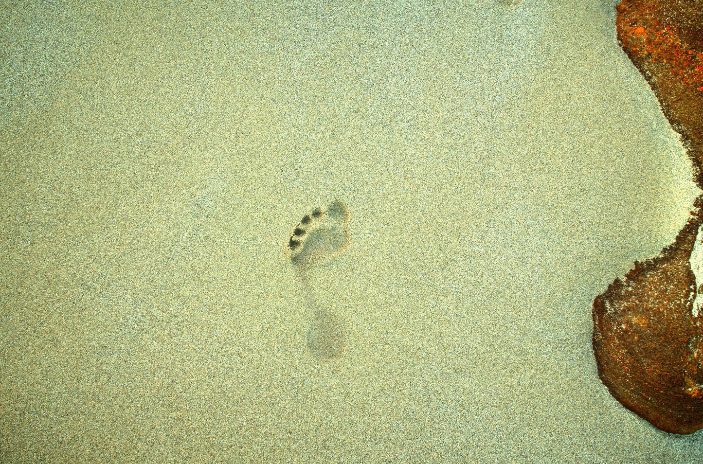 Footprint in sand with a large footstep on a beach
