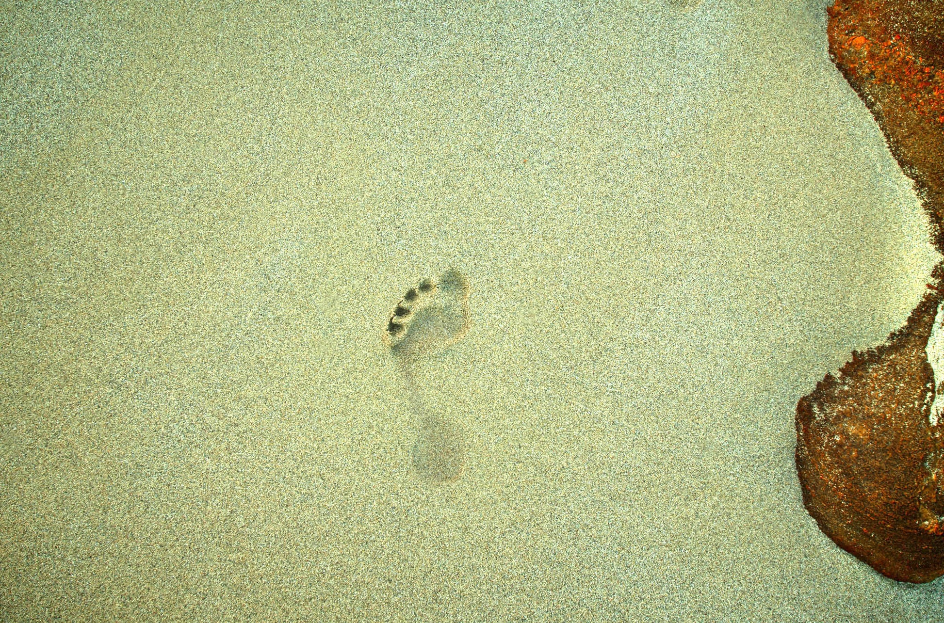 Footprint in sand with a large footstep on a beach