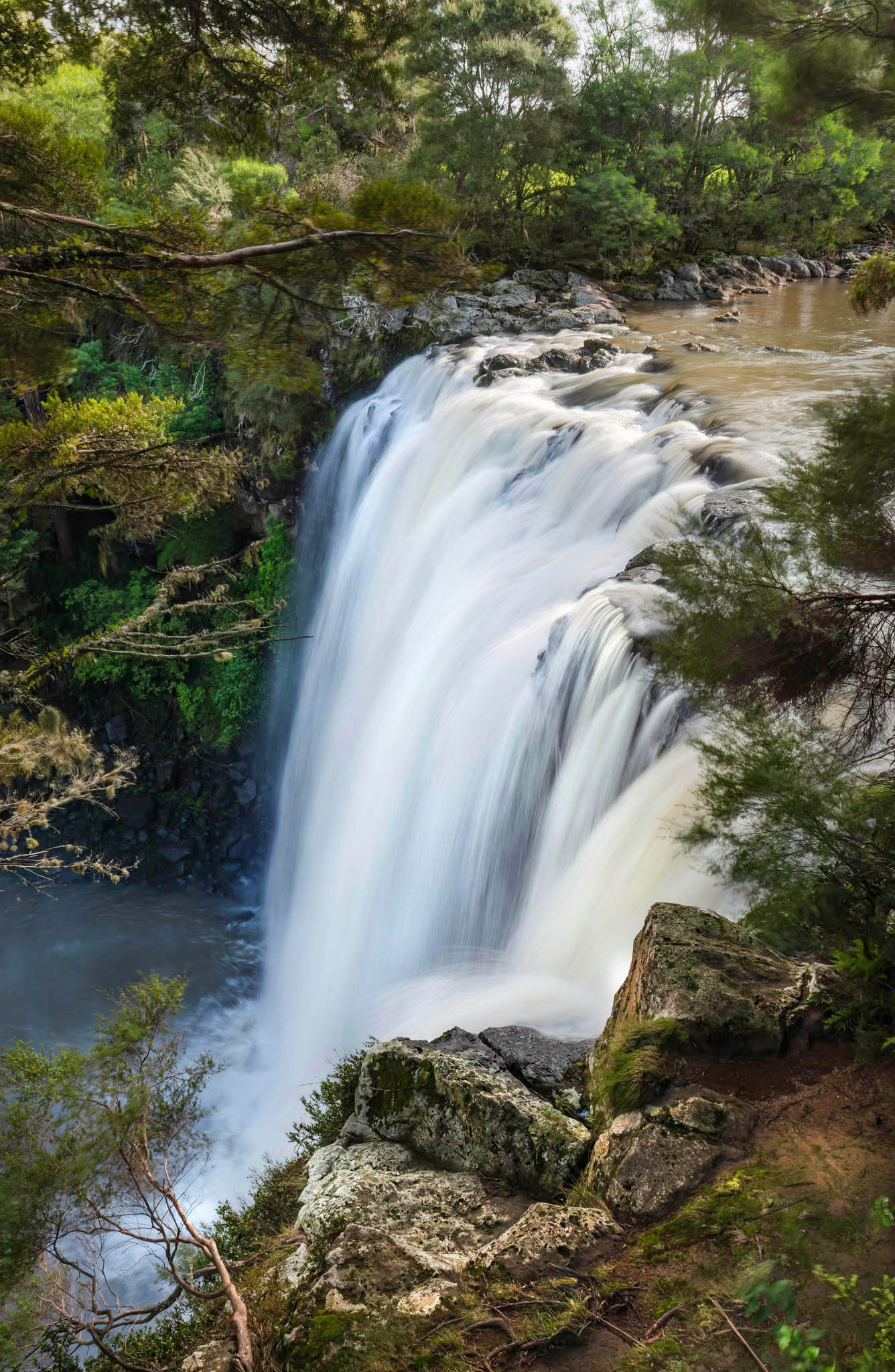 north island rainbow falls kerikeri