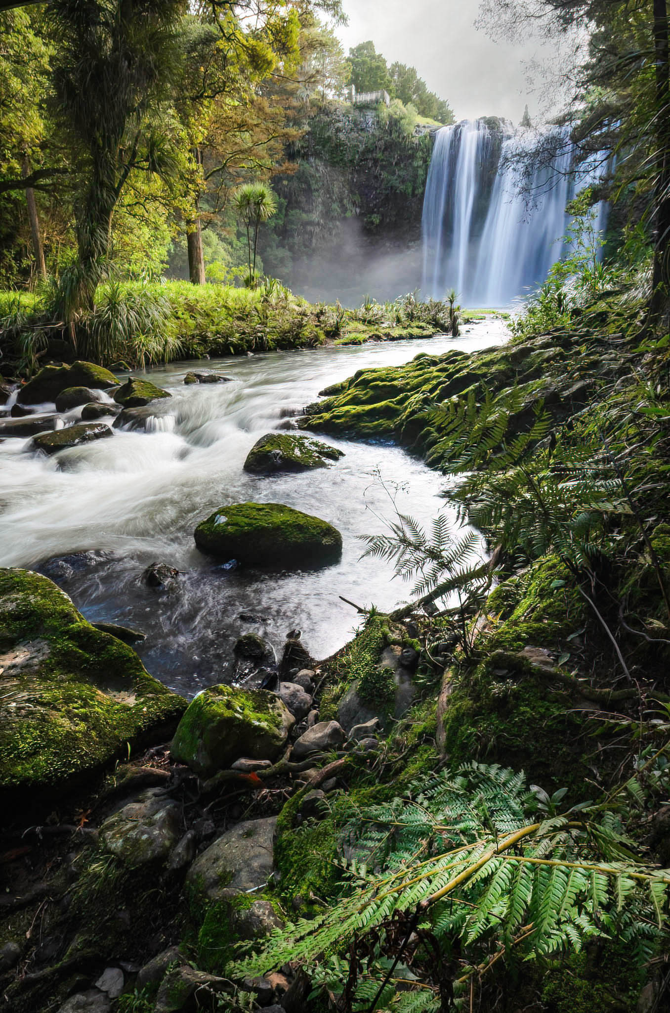 whangarei falls stream waterfall new zealand north island