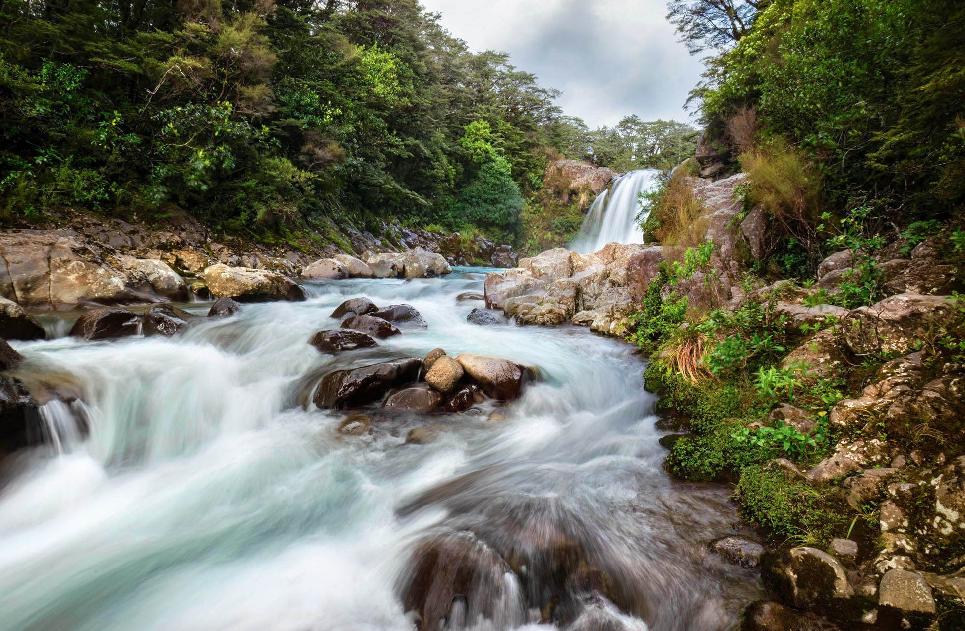 rapids waterfall tawhai north island