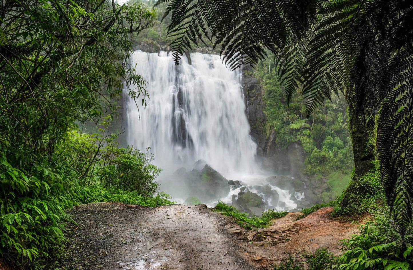 marokopa falls magnificent north island new zealand waterfall