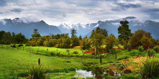 Lush green landscape with trees, a fence, and distant mountains under a cloudy sky.