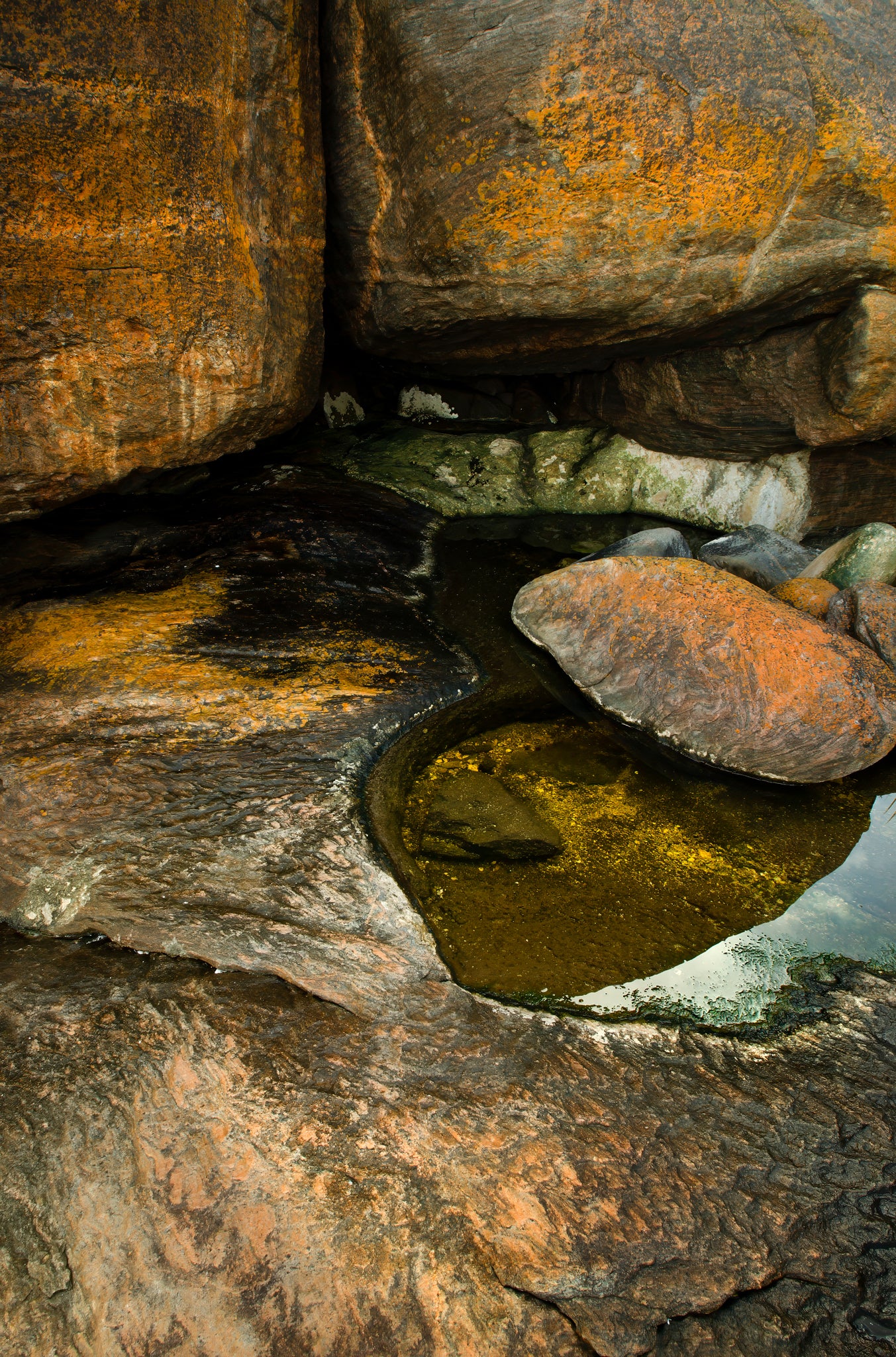 Combination of bronze colours and granite texture with a small rockpool at Redgate Beach.