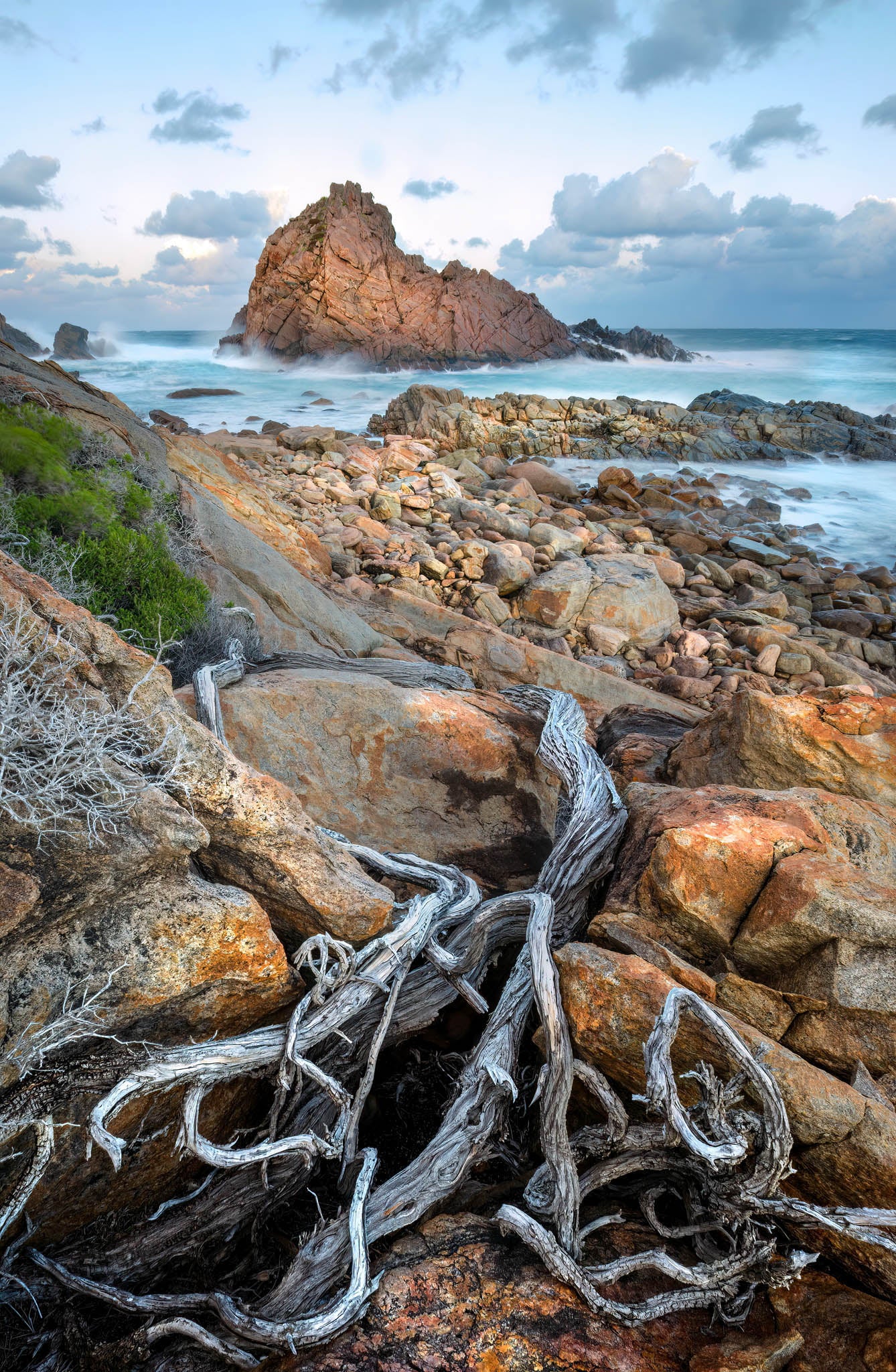 foreground driftwood at sugarloaf rock