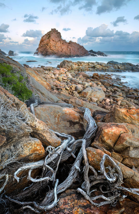 foreground driftwood at sugarloaf rock