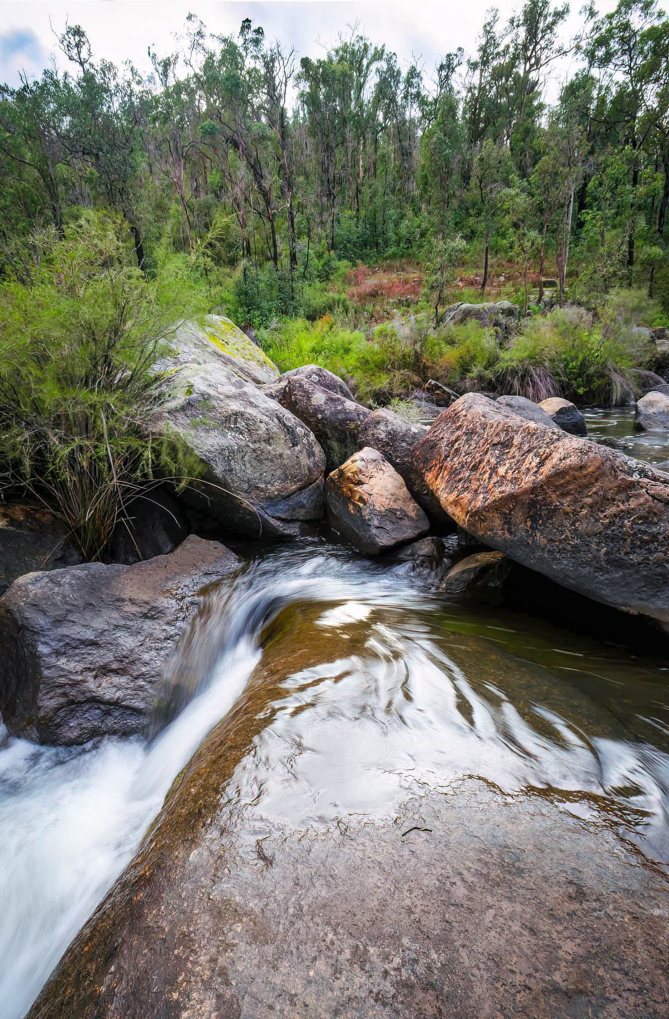 Wellington Dam - WeDa19