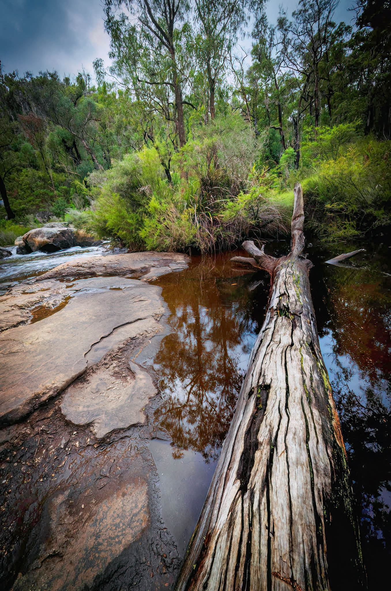 collie dam wellington rapids river whitewater southwest scenic