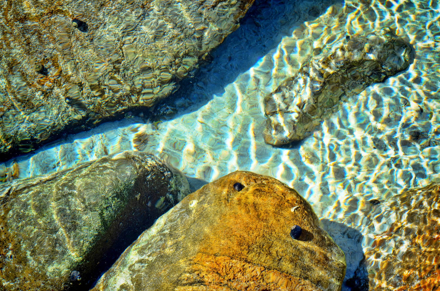 landscape photograph of rockpool